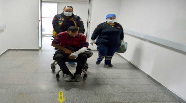 Aksaray'da köpeklerin saldırısına uğrayan kişi yaralandı