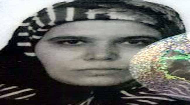 Antalya'da ağaçtan düşen kişi öldü 