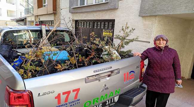 Balkonunda yetiştirdiği 100 fidanı orman teşkilatına bağışladı