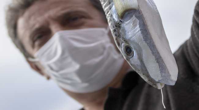 Balon balığının kuyruğuna 5 lira destek ödemesi balıkçıları mutlu etti 