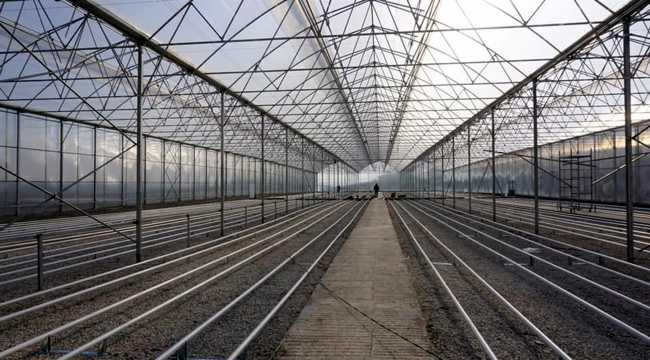 Beypazarı'nda sera çalışması