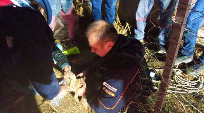 Burdur'da sondaj kuyusuna düşen yavru köpek kurtarıldı 