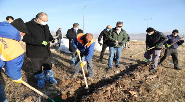 Çubuk Hayvancılık İhtisas Organize Sanayi Bölgesine 40 bin lavanta fidesi dikildi