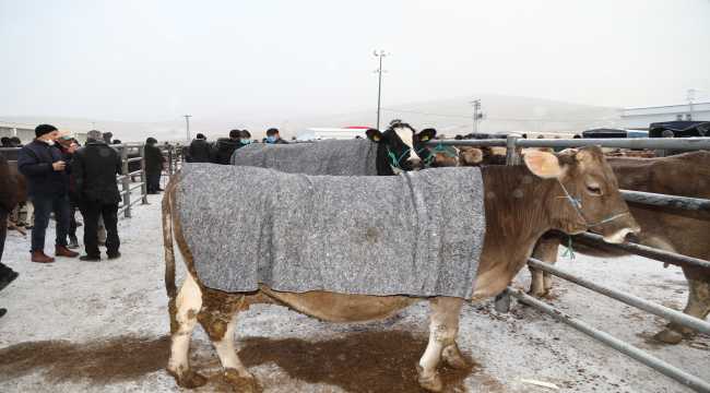 Çubuk'ta mevsimin ilk karı yağdı