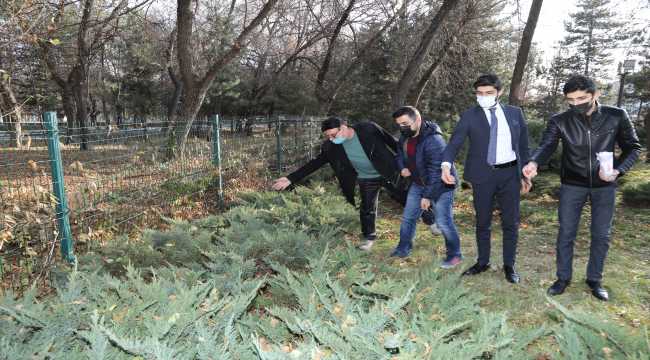 Çubuk'ta sağlık çalışanları sokak hayvanlarını besledi