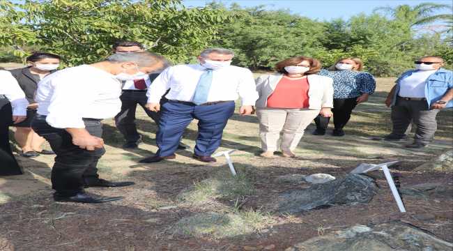 Çukurova'nın şifalı bitkileri projeyle tanıtılacak 