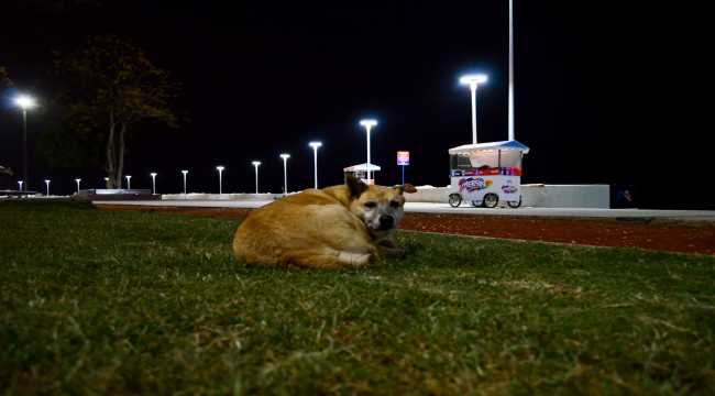 Doğu Akdeniz'de cadde ve sokaklar sessizliğe büründü 