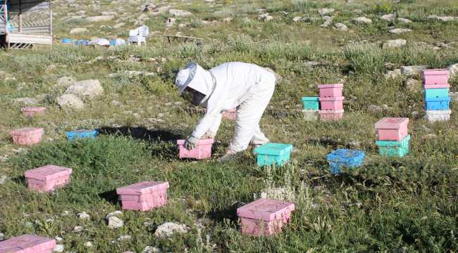 Erdemli'de kadınlar 
