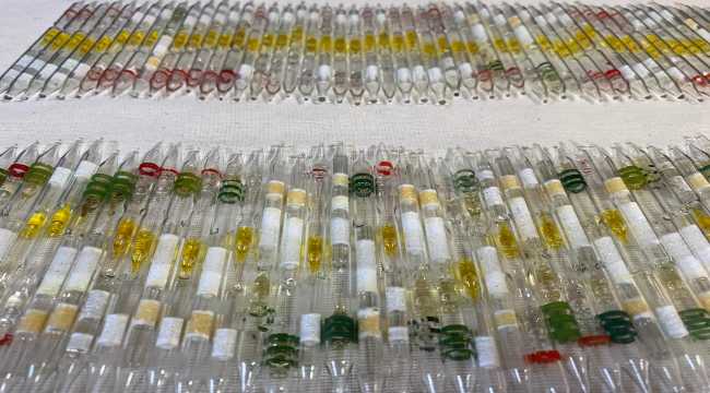 Hatay'da 152 tüp kobra zehri ele geçirildi 