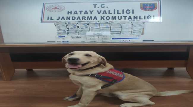 Hatay'da 950 paket kaçak sigara ele geçirildi