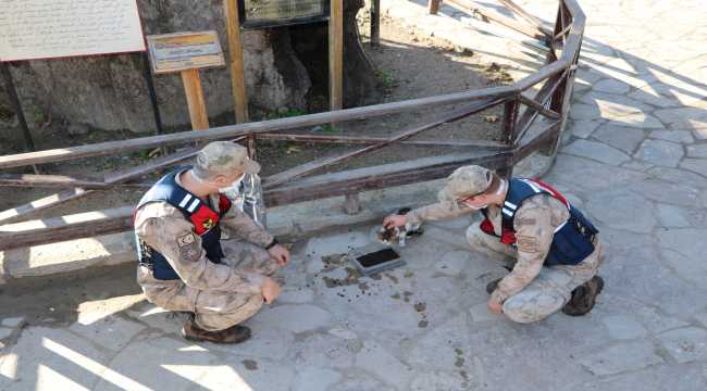 Hatay'da jandarma, sokak hayvanları için belirli noktalara yem bıraktı