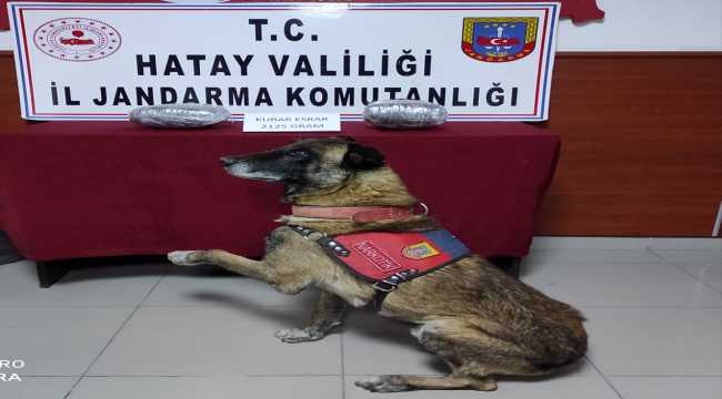 Hatay'da otomobilden uyuşturucu çıktı