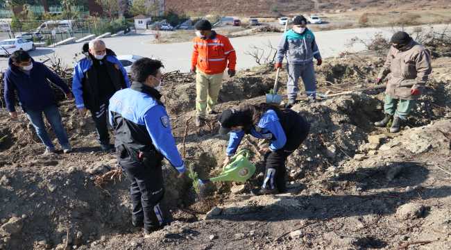 Hatay'da polisler yanan ormanlara fidan dikti