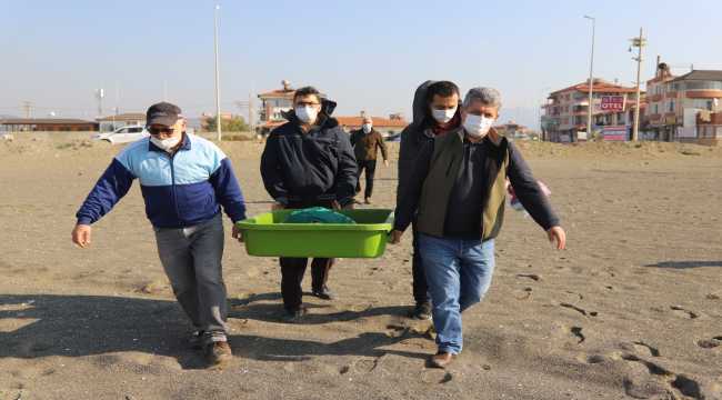 Hatay'da tedavileri tamamlanan deniz kaplumbağaları denizle buluştu