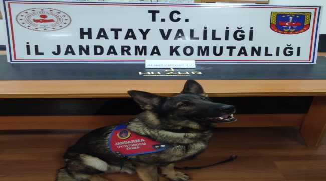 Hatay'da uyuşturucu şüphelisi gözaltına alındı