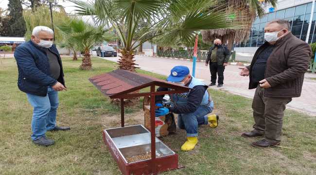 Kadirli'de sokağa çıkma kısıtlamasında sokak hayvanları unutulmadı