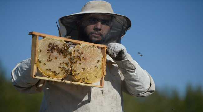 Bal üreticileri bu yıl taleplere yetişmekte zorlanıyor