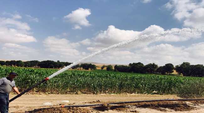 Kayseri Büyükşehir Belediyesinden tarım ve hayvancılığa 13,5 milyon liralık yatırım