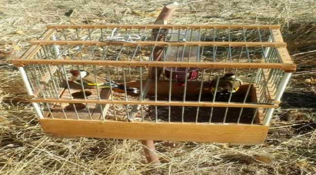 Kayseri'de saka kuşu avlayan 2 kişiye 14 bin 818 lira ceza