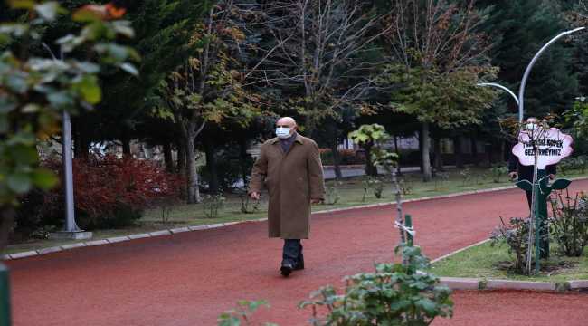 Keçiören'de sarının ve yeşilin her tonu Atatürk Botanik Bahçesi'nde