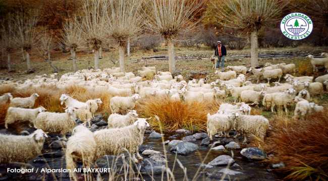 Kızılcahamam'da düzenlenen fotoğraf yarışmasında dereceye giren eser sahipleri belirlendi