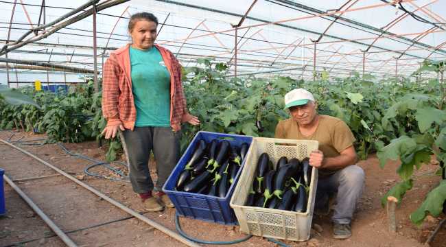 KAEÜ Tıp Fakültesi Erişilebilirlik Belgesi aldı