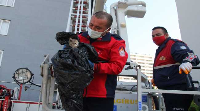 Mersin'de binanın 9. katında mahsur kalan kedi yavrusu kurtarıldı