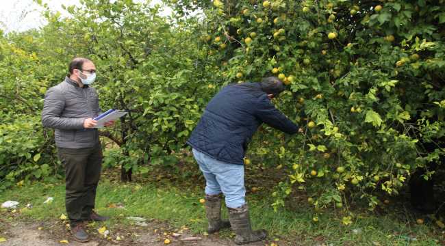 Mersin'de dolu ve fırtınadan etkilenen alanlarda hasar tespit çalışması başlatıldı 