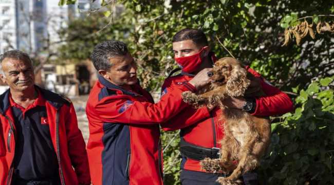 Mersin'de düştüğü kuyuda mahsur kalan köpeği itfaiye kurtardı 