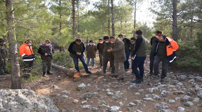 Mersin'de endüstriyel ağaçlandırma sahaları incelendi