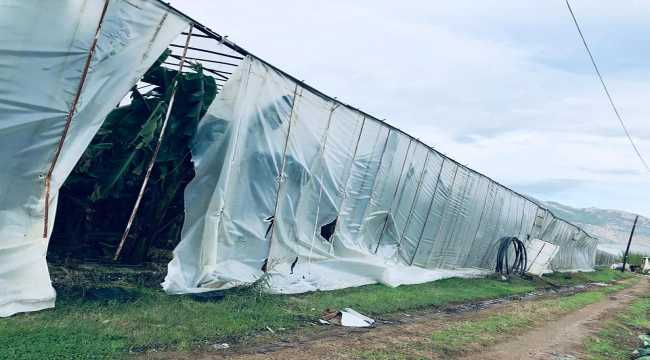 Mersin'de hortumdan zarar gören seralarda hasar tespit çalışması yapıldı
