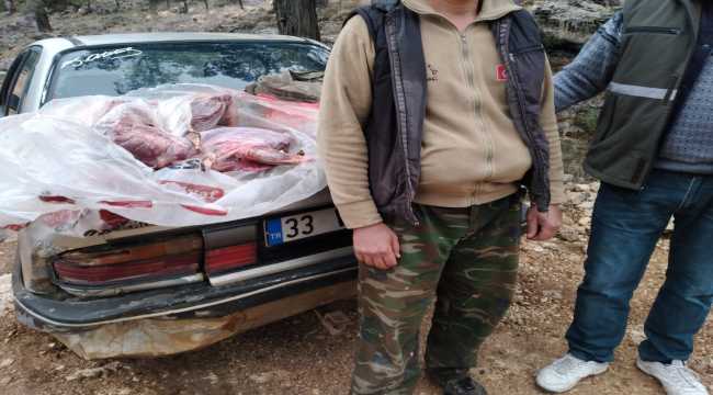 Mersin'de kaçak avcılara 31 bin lira ceza kesildi 