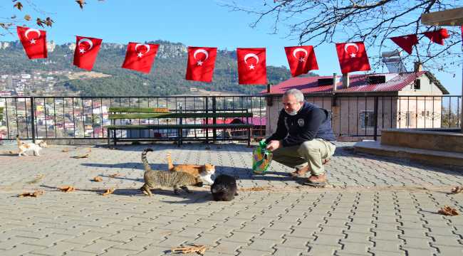 Mersin'de sokağa çıkma kısıtlamasında 