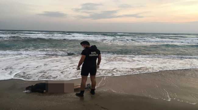 Mersin'de tırla bariyerlere çarptıktan sonra kaybolan sürücünün cesedi bulundu