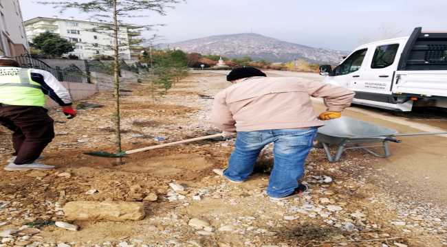 Nallıhan Belediyesi 850 fidanı toprakla buluşturdu