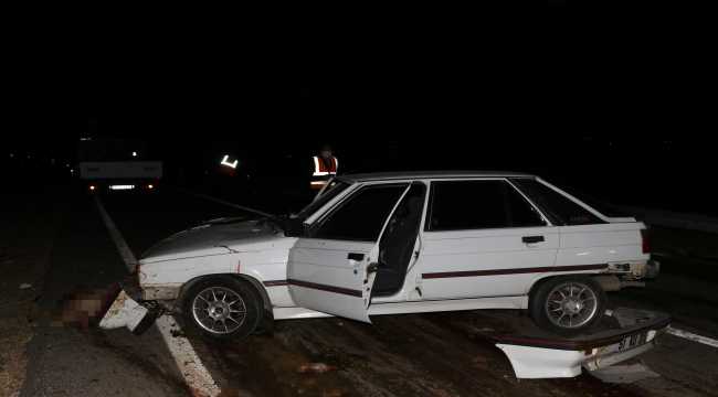 Niğde'de otomobil koyun sürüsüne çarptı: 2 yaralı