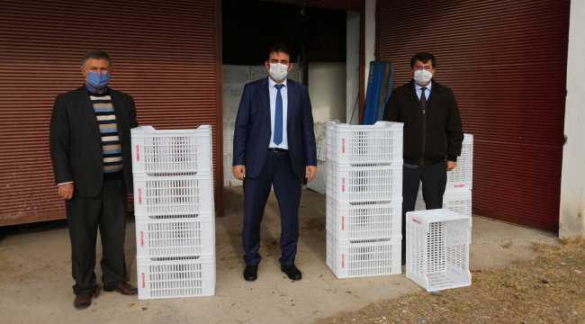 Osmaniye'de çiftçiye zeytin hasadı için 1500 kasa dağıtıldı