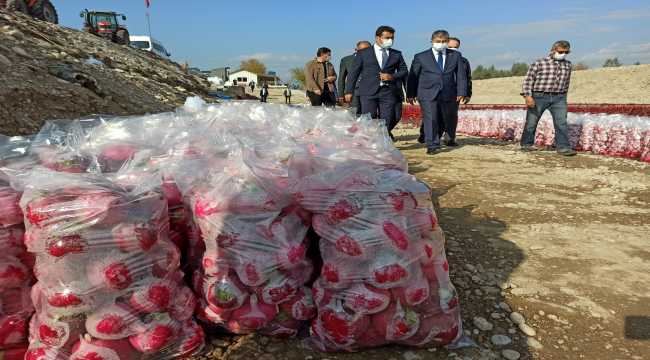 Osmaniye Valisi Yılmaz Kadirli'de tarım işçilerini ziyaret etti 