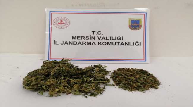 Silifke'de uyuşturucu operasyonu