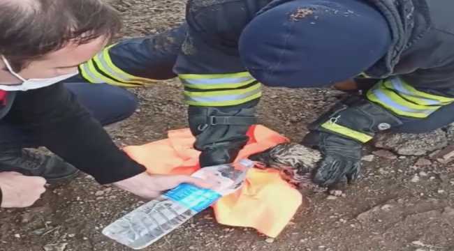 Sivas'ta kanalizasyon çukuruna düşen köpek yavrusunu itfaiye kurtardı