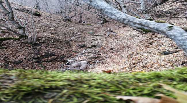 Komandolar soğuk havaya rağmen operasyondalar