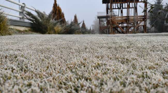 Sis ve kırağı kenti beyaza bürüdü