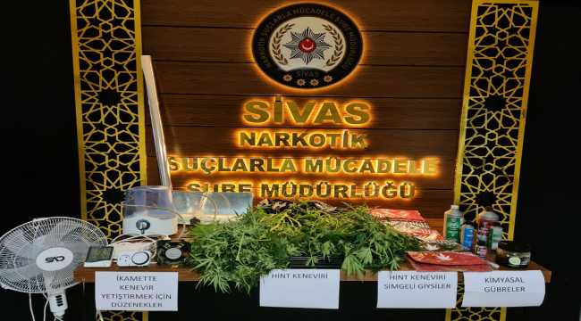 Sivas'ta uyuşturucu operasyonlarında 12 şüpheli yakalandı