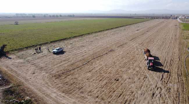 Türkiye'deki havucun yüzde 70'i Kaşınhanı'da üretiliyor