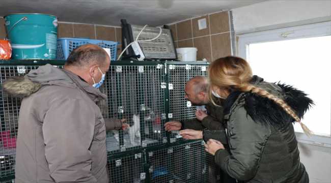 Belediye kısıtlamasında sokak hayvanlarını unutmadı