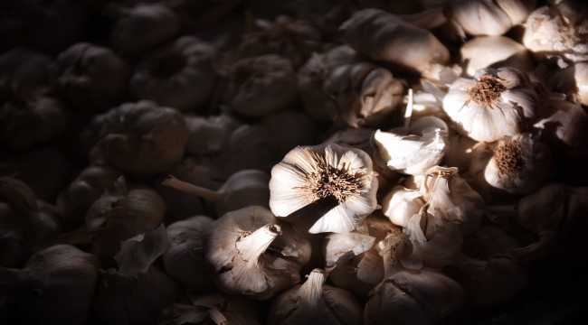 Yaş sebze meyve ihracatını Mersin sırtladı