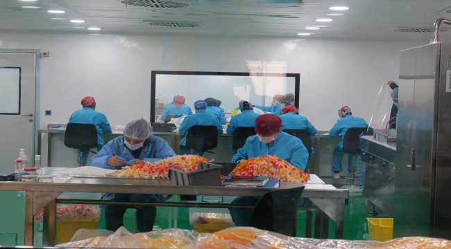 Yerli firma Kovid-19 antijen testi üretti, 20 ülkeye ihraç etti