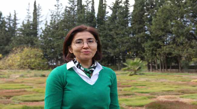 Kuraklığa dayanıklı çim çeşitleri üzerinde çalışılıyor