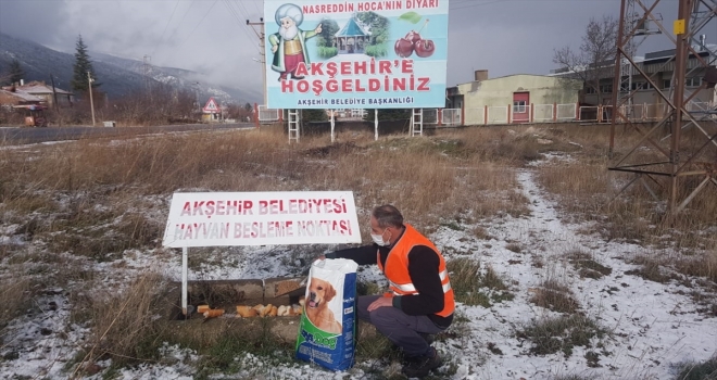 Akşehir Belediyesi'nden sokak hayvanlarına yiyecek desteği