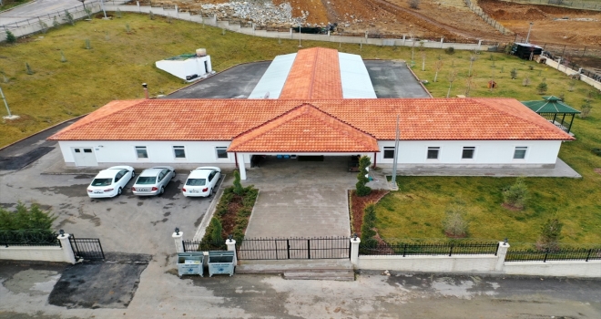 Altındağ'da bir yılda 350 hasta sokak hayvanının tedavisi yapıldı